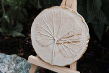 Load image into Gallery viewer, Relic No.08