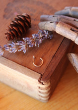 Load image into Gallery viewer, Faux Nose Ring- Gold