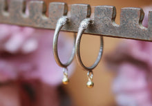 Load image into Gallery viewer, Serpent Hoops