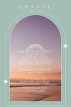 Load image into Gallery viewer, Moon Herb Amulet- Monday