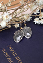 Load image into Gallery viewer, Night Court- Midnight Quartzite Earrings

