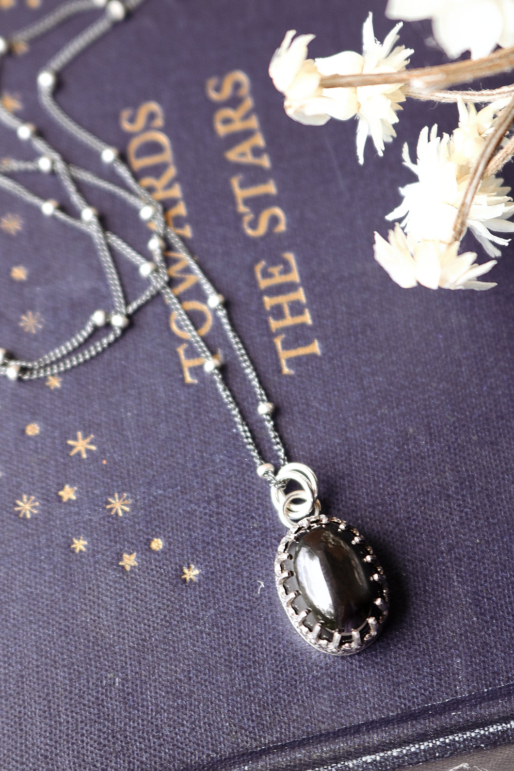 The Bryaxis Pit- Black Star Sapphire Charm Necklace
